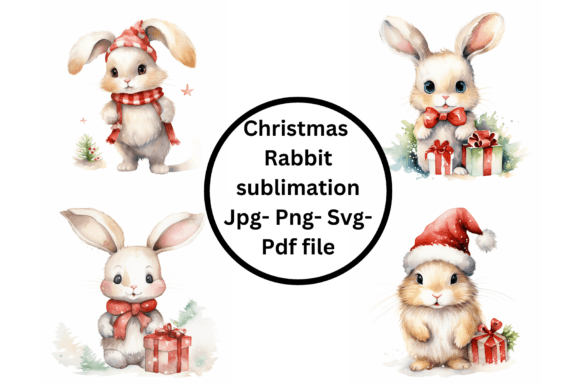 Christmas Rabbit Sublimation: A Designer's Real-World Review