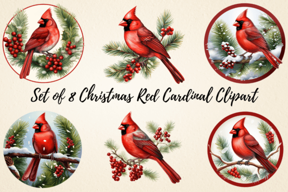 Christmas Red Cardinal Clipart Bundle Review