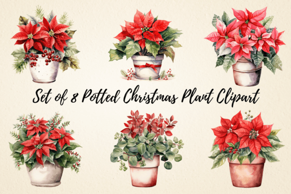 Potted Christmas Plant Clipart Bundle for Illustrations