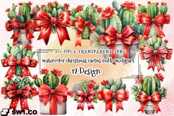 Watercolor Christmas Cactus Clipart PNG Review